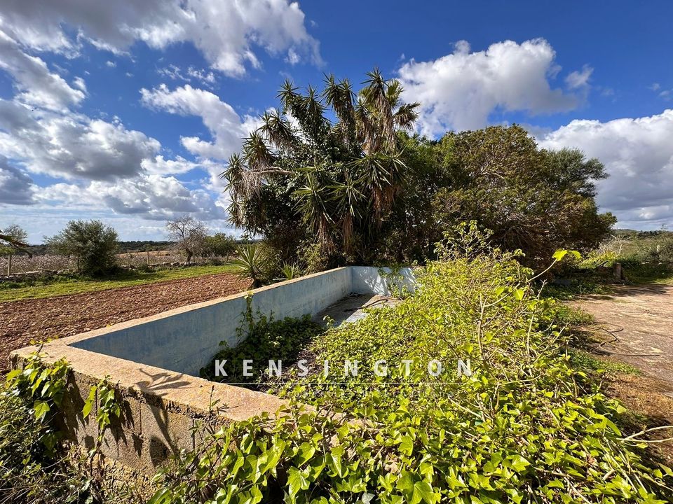 Villa i Son Macia, Mallorca - foto 2