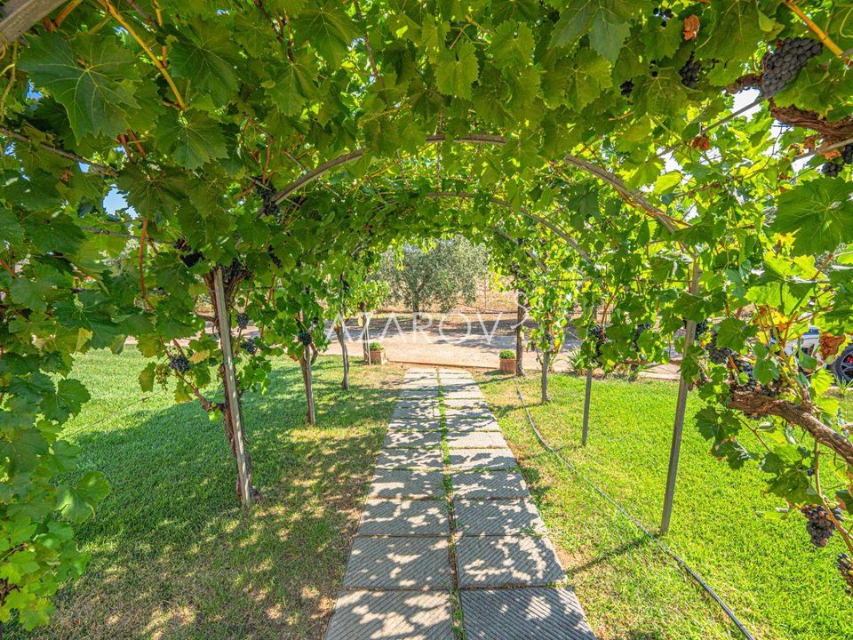 Villa i Montalto di Castro, Viterbo - foto 3