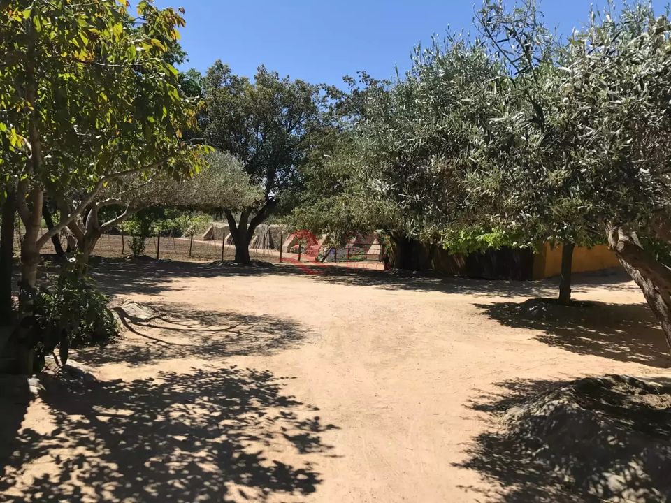 Villa i Palafrugell, Gerona - foto 4
