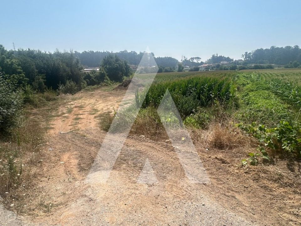 Helårsgrund i Castelo de Paiva, Aveiro - foto 4