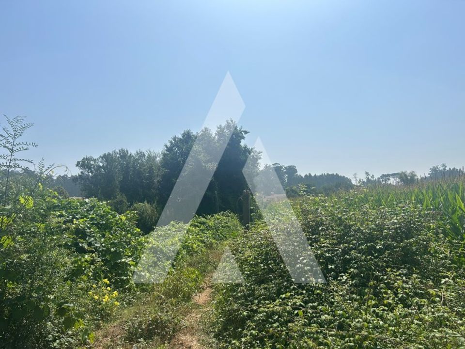 Helårsgrund i Castelo de Paiva, Aveiro - foto 5