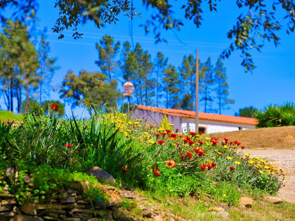 Farm hus i Monchique, Faro - foto 2