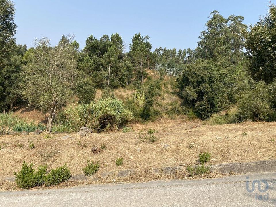 Helårsgrund i Leiria, Leiria - foto 2