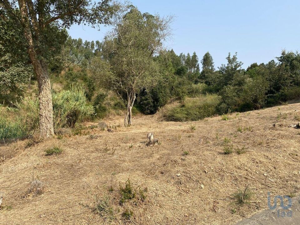 Helårsgrund i Leiria, Leiria - foto 3