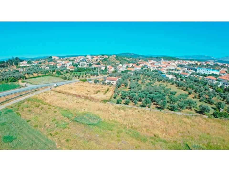 Helårsgrund i Dominguizo, Castelo Branco - foto 4