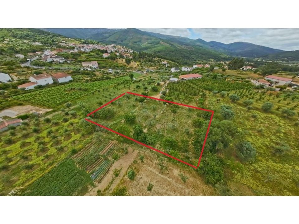Helårsgrund i Fundao, Castelo Branco - foto 2