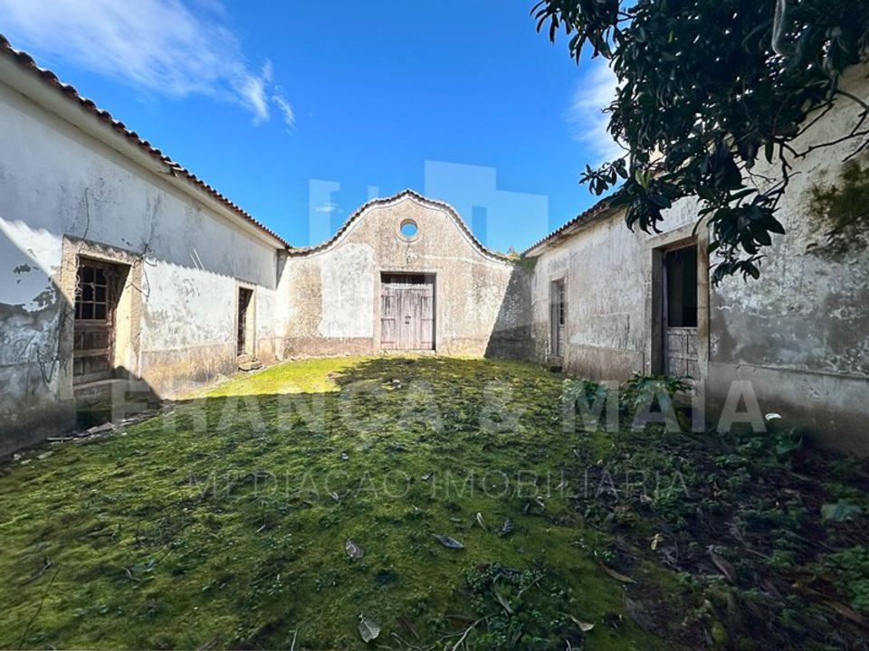 Farm i Lobao, Aveiro - foto 3