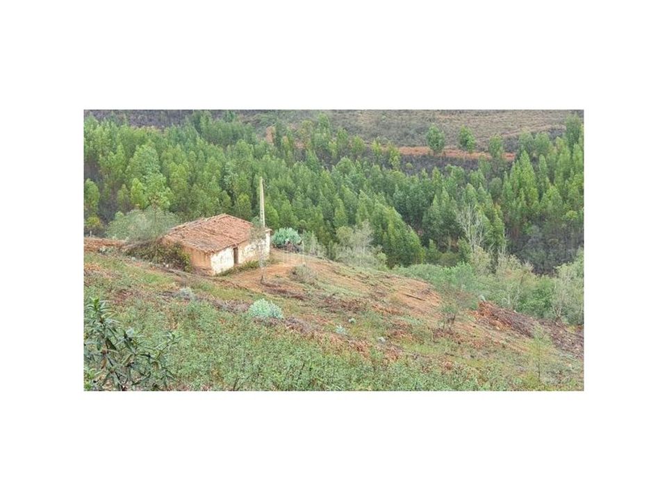 Farm hus i Odemira, Beja - foto 1