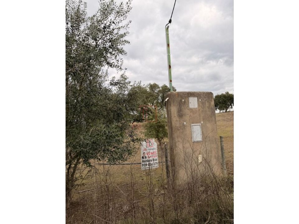 Helårsgrund i Ferreira do Alentejo, Beja - foto 1