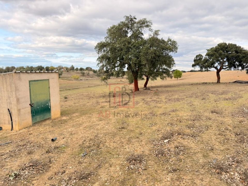 Helårsgrund i Ferreira do Alentejo, Beja - foto 2