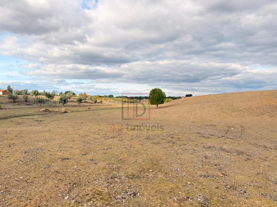 Helårsgrund i Ferreira do Alentejo, Beja - foto 3