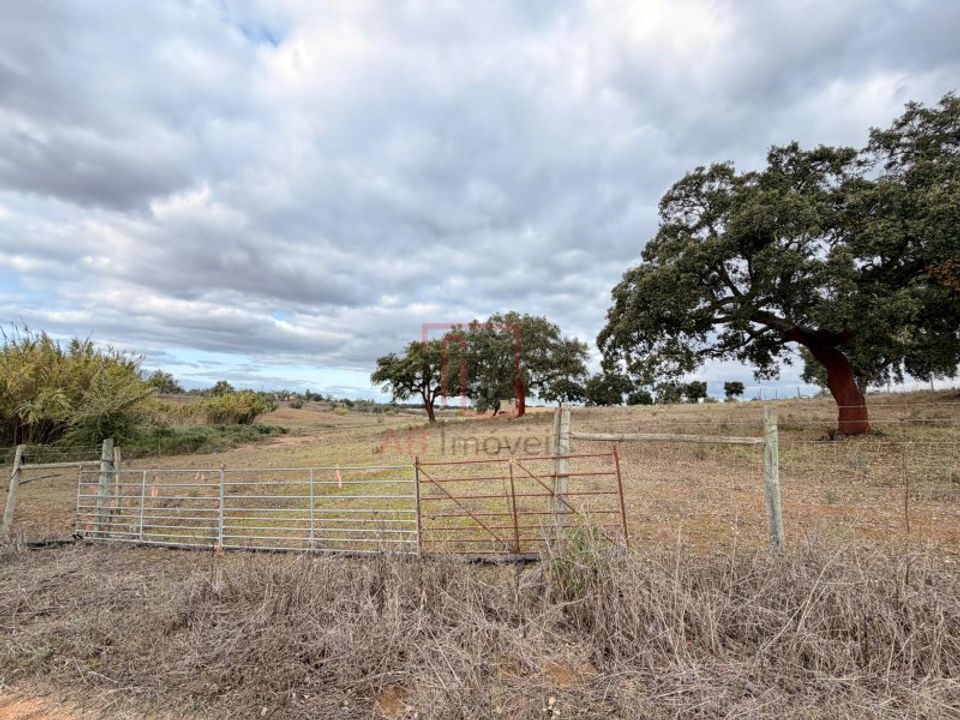 Helårsgrund i Ferreira do Alentejo, Beja - foto 4