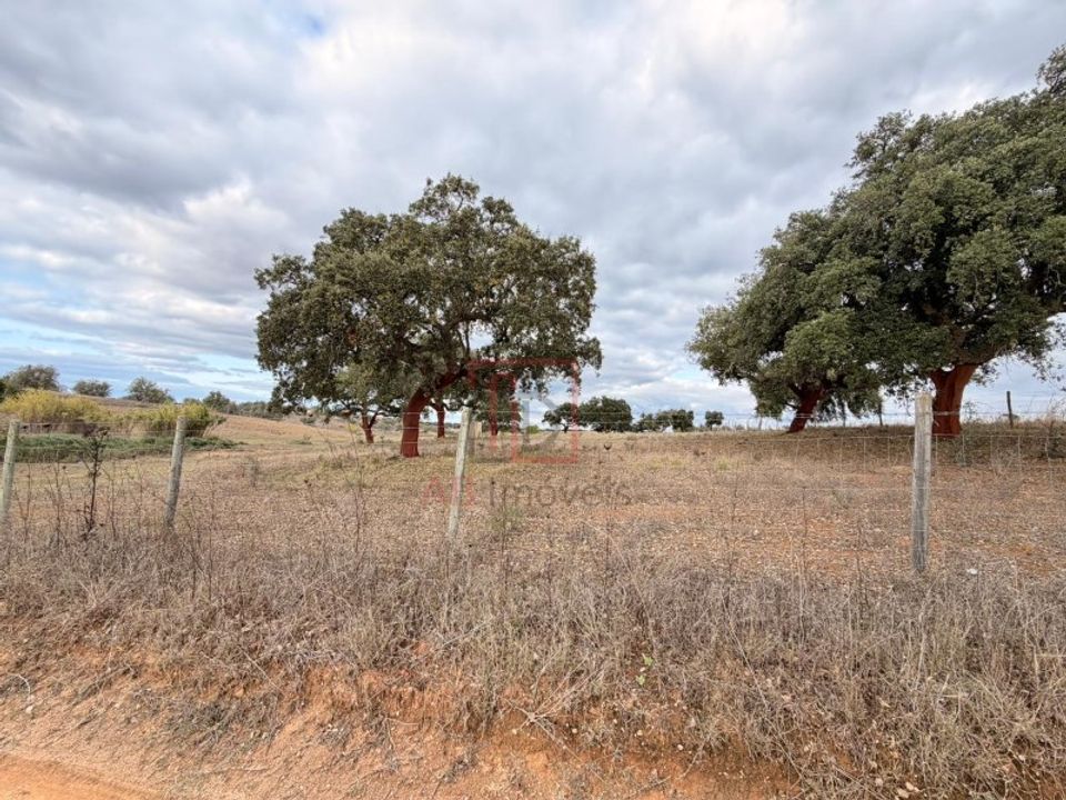 Helårsgrund i Ferreira do Alentejo, Beja - foto 5