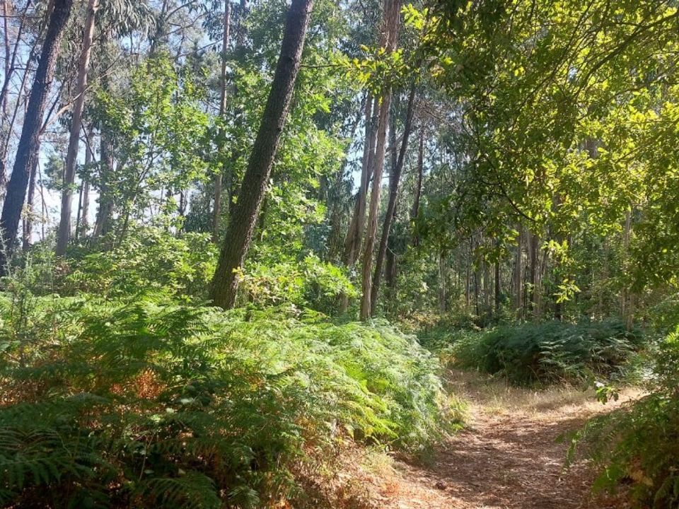 Helårsgrund i Amares, Braga - foto 1
