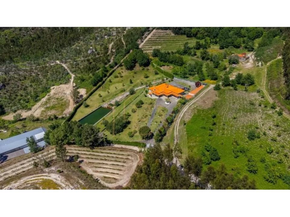 Farm i Guimaraes, Braga - foto 4