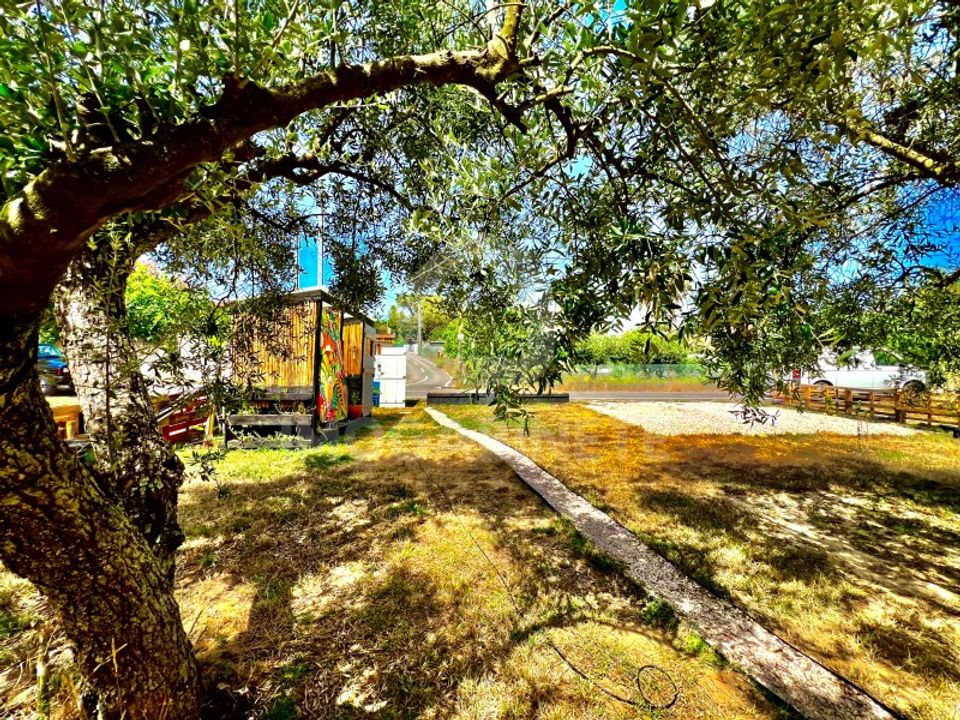 Helårsgrund i Vila Verde, Coimbra - foto 5