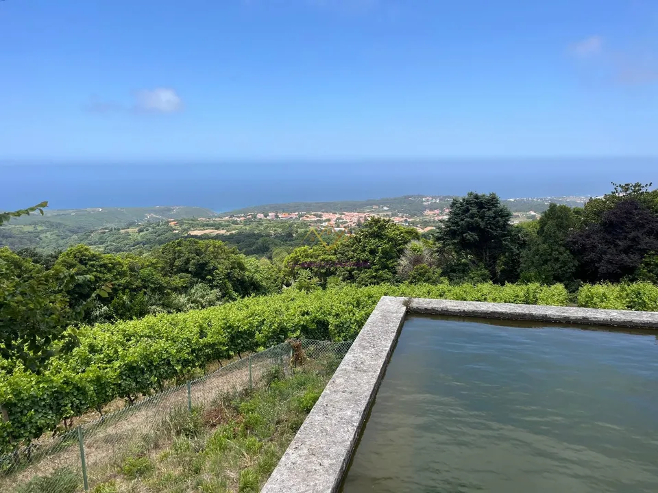 Farm i Sintra, Lisbon - foto 1