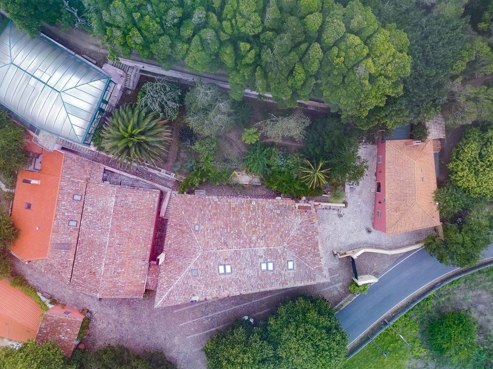 Farm i Sintra, Lisbon - foto 4