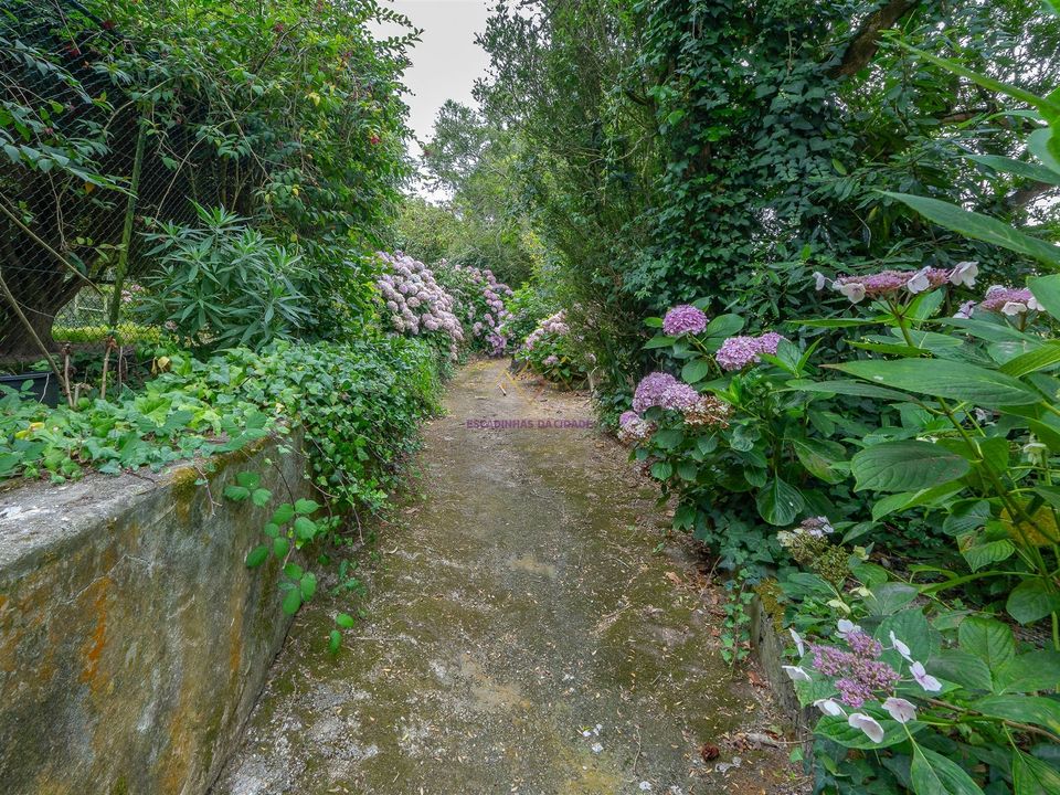 Farm i Sintra, Lisbon - foto 5