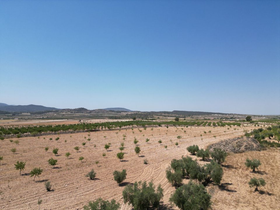 Helårsgrund i Pinoso, Alicante - foto 2