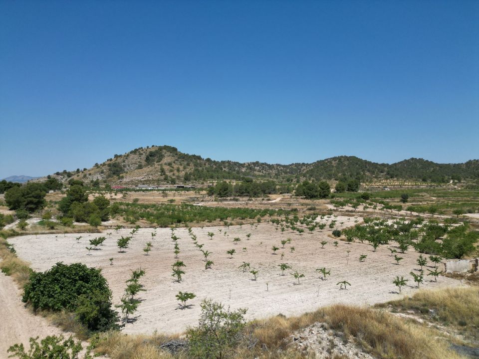 Helårsgrund i Monovar, Alicante - foto 3