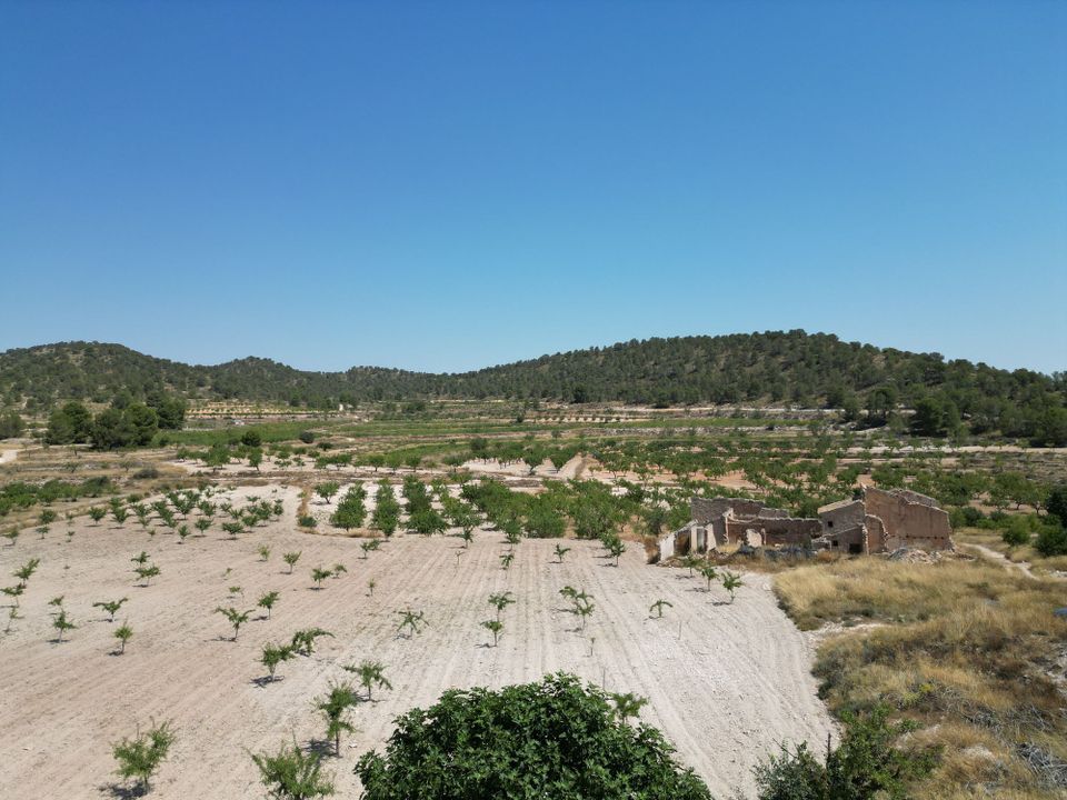 Helårsgrund i Monovar, Alicante - foto 4