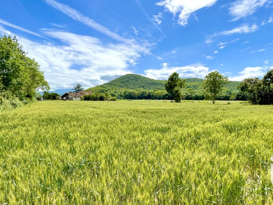Helårsgrund i Gourdan-Polignan, Haute-Garonne - foto 3