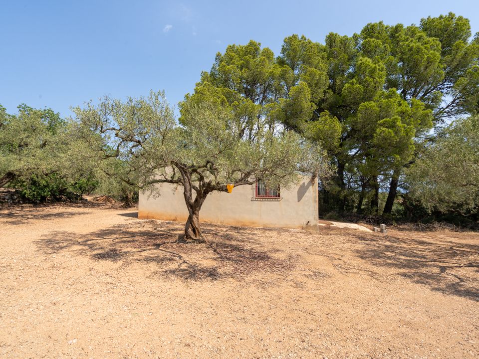 Finca i Mas De Barberans, Tarragona - foto 4