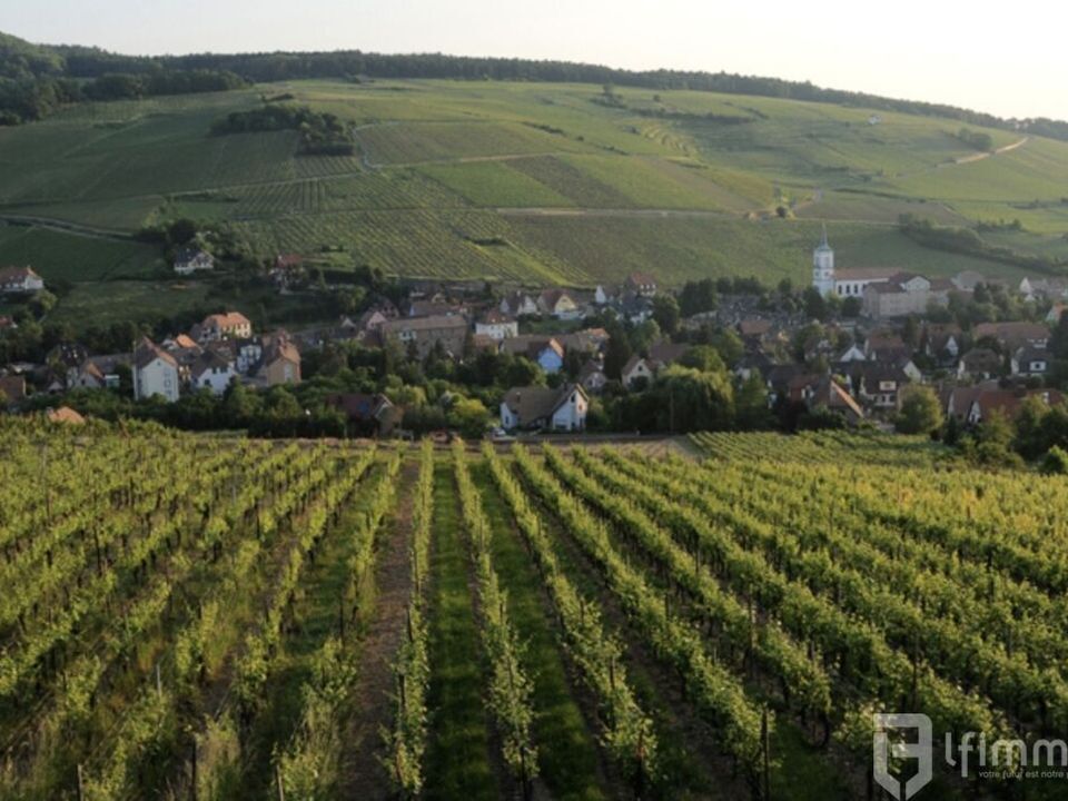 Lejlighed i Barr, Bas-Rhin - foto 3