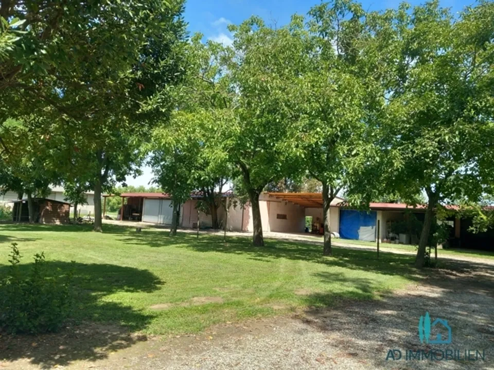 Villa i Caorle, Venice - bilde 5