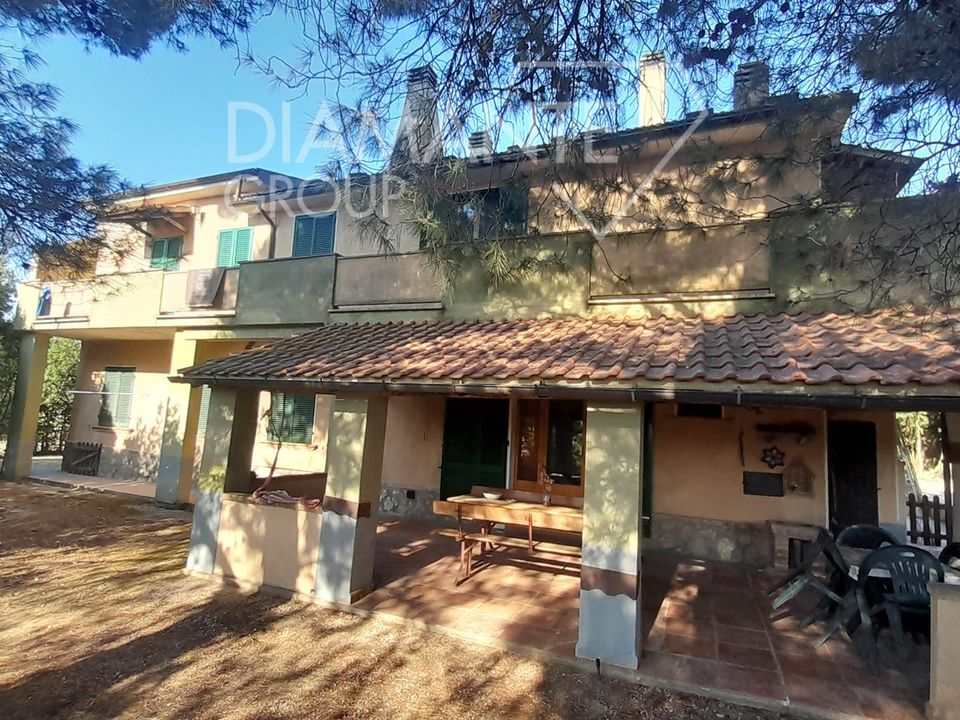 Gård i Cinigiano, Grosseto - bilde 1