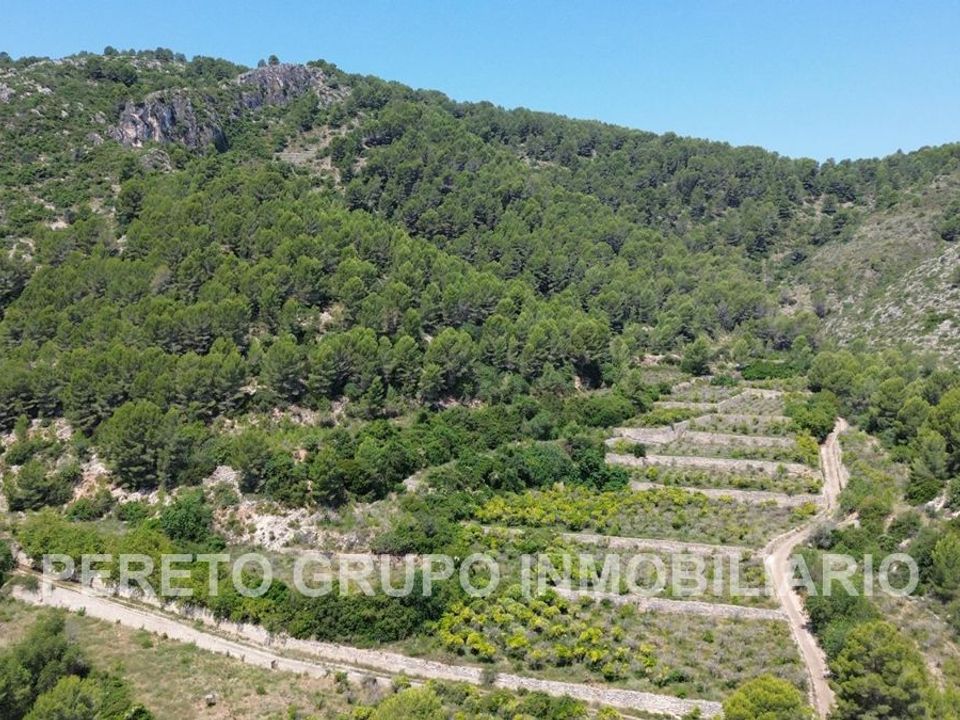 Helårsgrund i Oliva, Valencia - foto 1