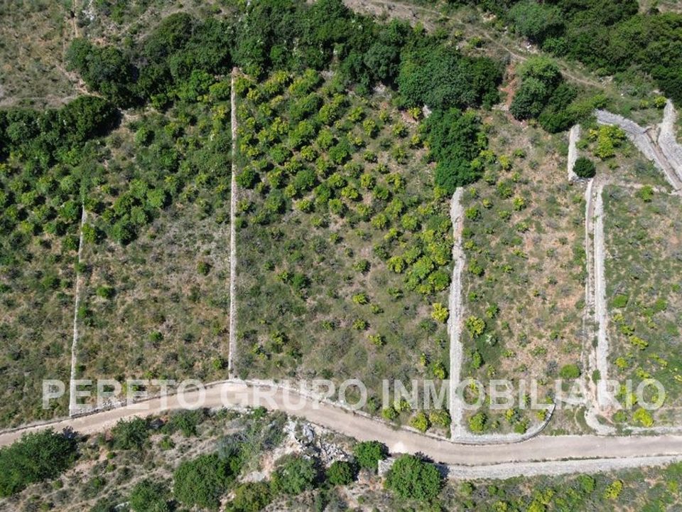 Helårsgrund i Oliva, Valencia - foto 4