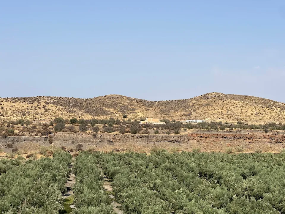 Landejendom i Tabernas, Almeria - foto 1