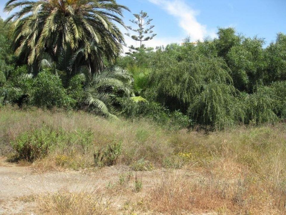 Finca in Mojacar, Almeria - foto 2