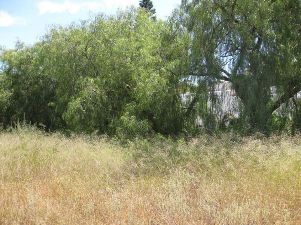 Finca in Mojacar, Almeria - foto 3