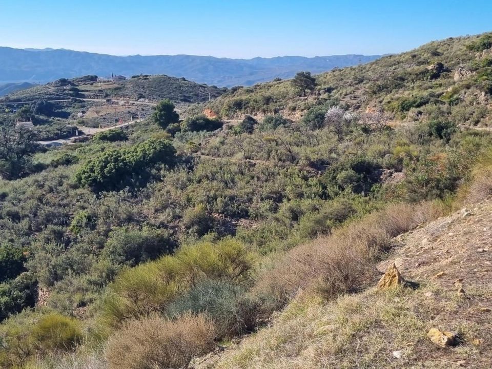 Finca i Bedar, Almeria - bilde 1
