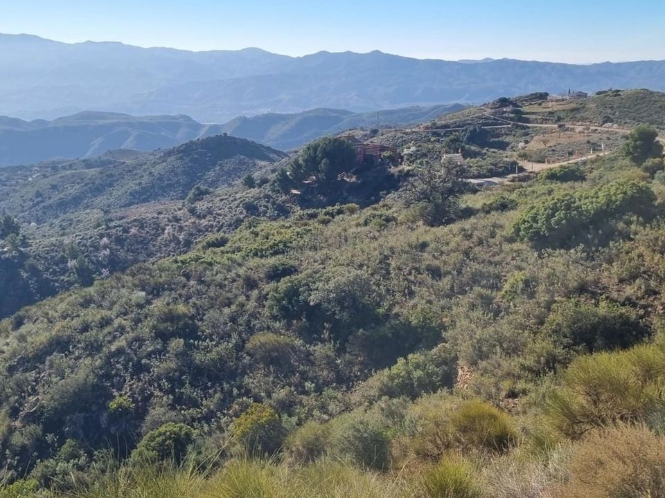 Finca i Bedar, Almeria - bilde 4
