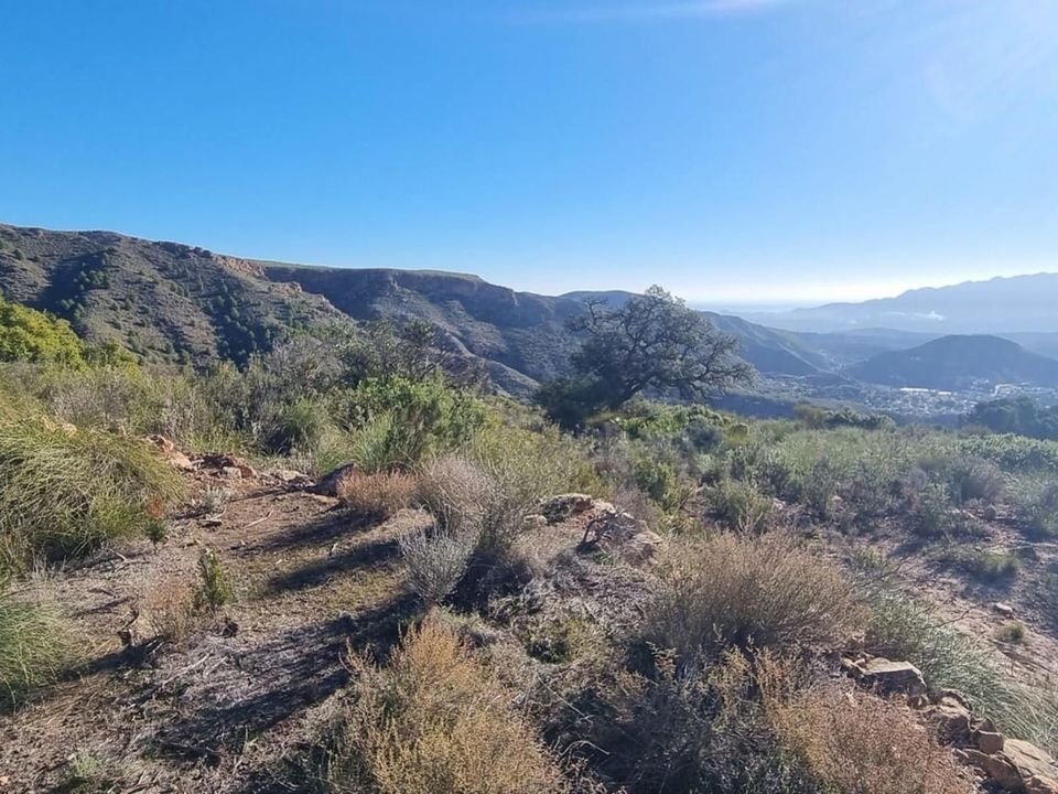 Finca i Bedar, Almeria - bilde 5