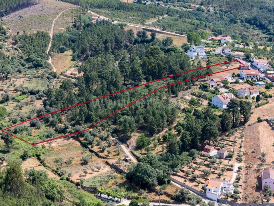 Helårsgrund i Covilha, Castelo Branco - foto 5
