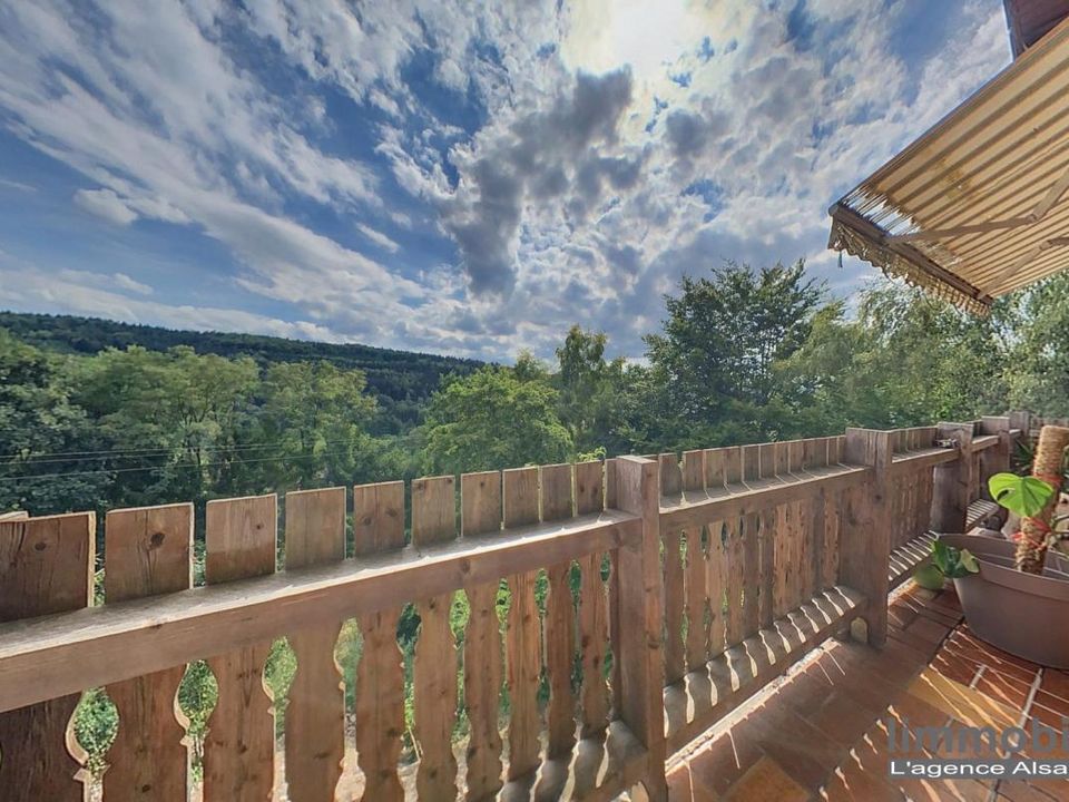 Villa i Moyenmoutier, Vosges - foto 1
