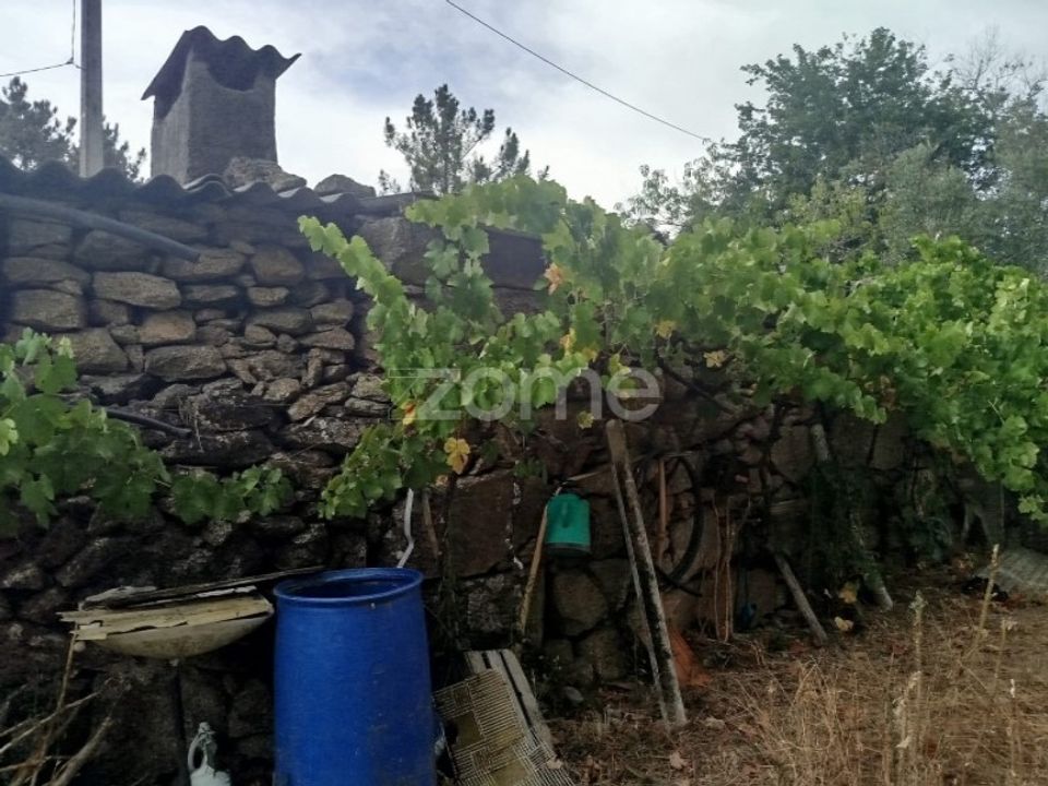 Farm i Gouveia, Guarda - foto 4