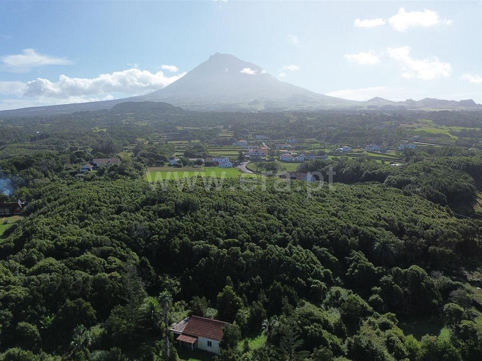 Helårsgrund i Madalena, Pico - foto 5