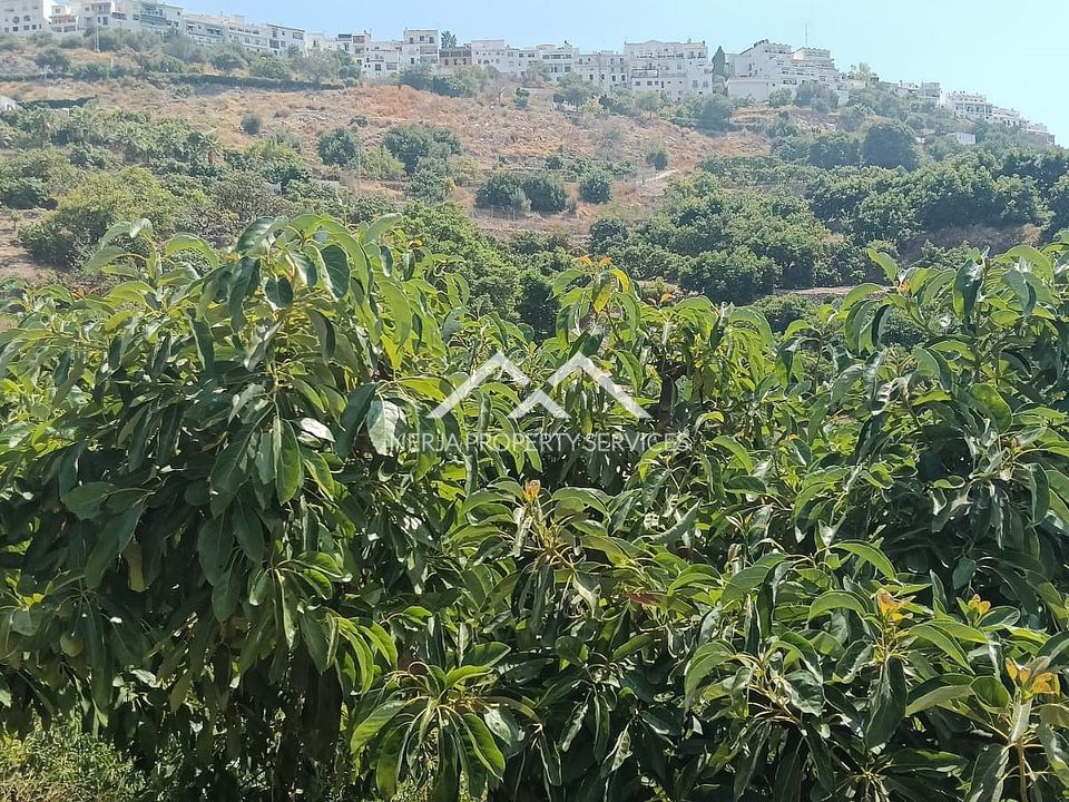 Helårsgrund i Frigiliana, Malaga - foto 4