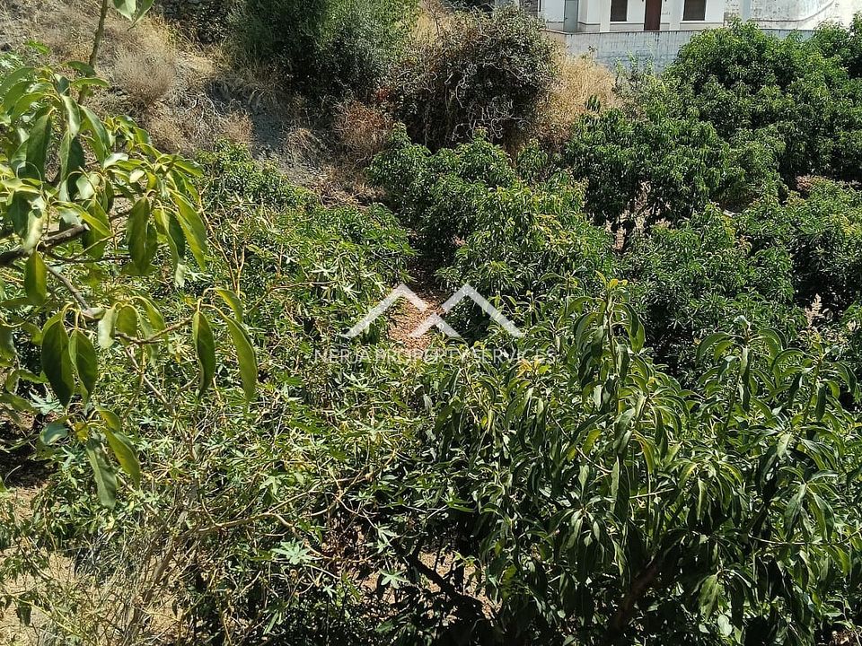 Helårsgrund i Frigiliana, Malaga - foto 5