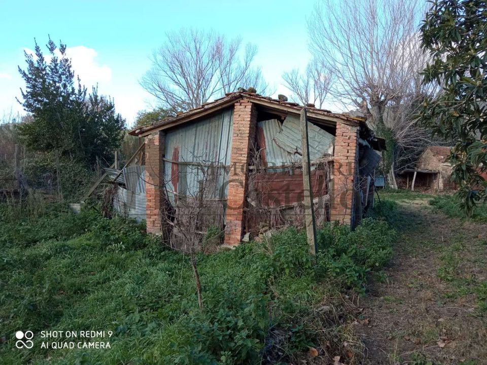Farm hus i Tuoro sul Trasimeno, Perugia - foto 4
