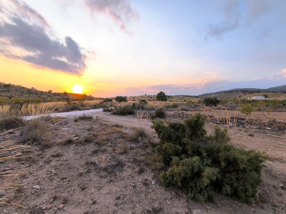 Helårsgrund i Pinoso, Alicante - foto 1