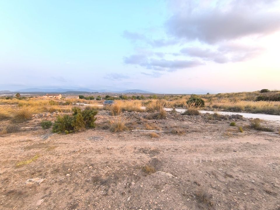 Helårsgrund i Pinoso, Alicante - foto 4