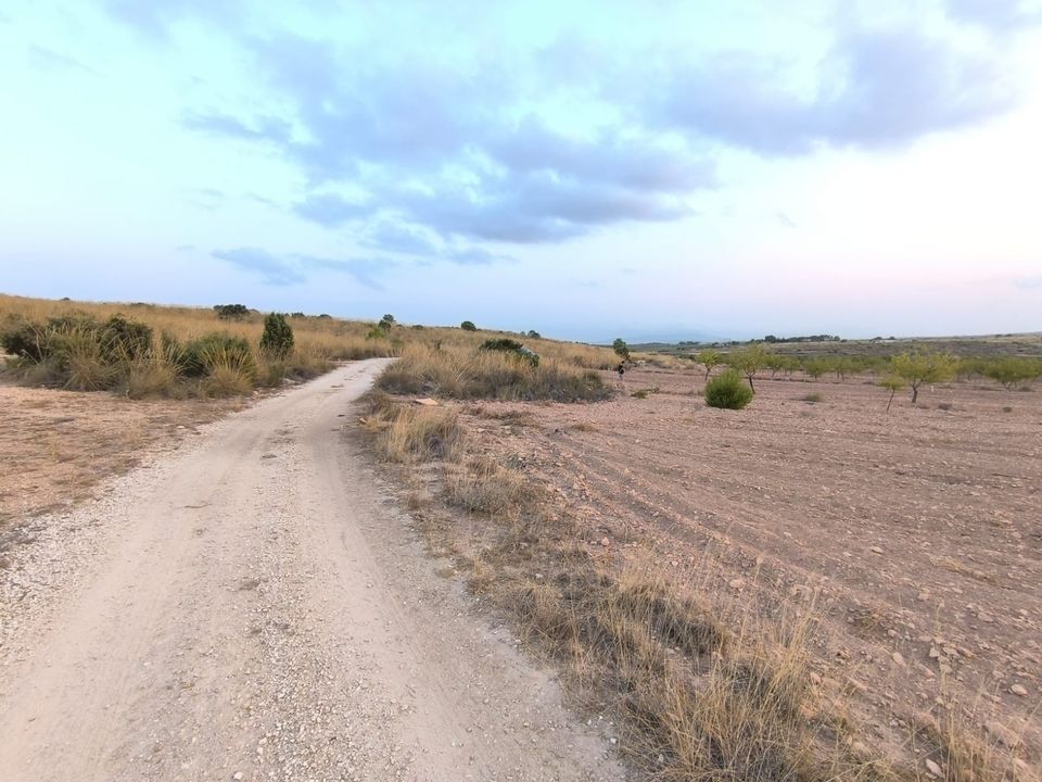 Helårsgrund i Pinoso, Alicante - foto 3