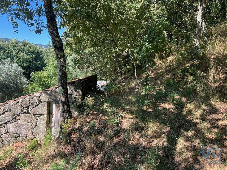 Byhus i Sao Pedro do Sul, Viseu - foto 4